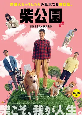 九九精品毛片