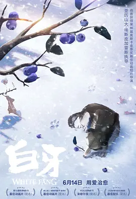 我女人的男人们