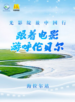 91精品宅男在线观看